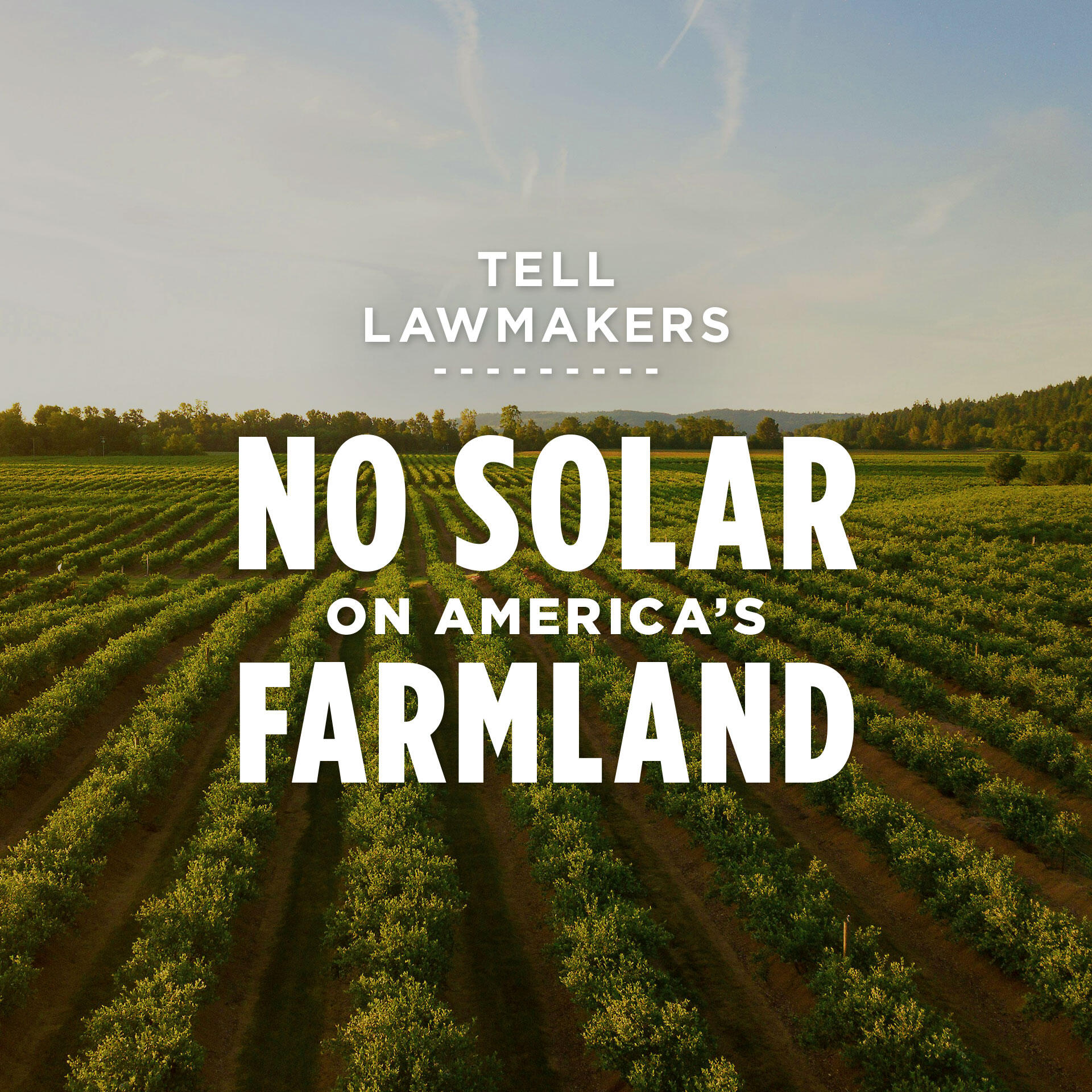 Tell Lawmakers: No Solar on America's Farmland!